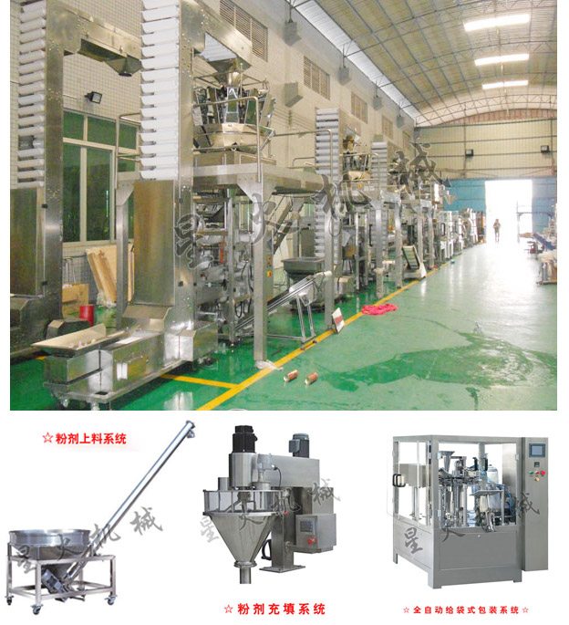 奧爾良腌料包裝機(jī)